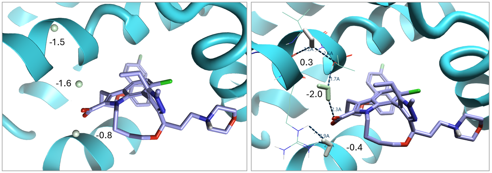 Figure 4 comparing original crystal water sites with the molecular dynamics snapshot water sites