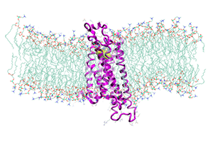 Modeling membrane proteins in Flare