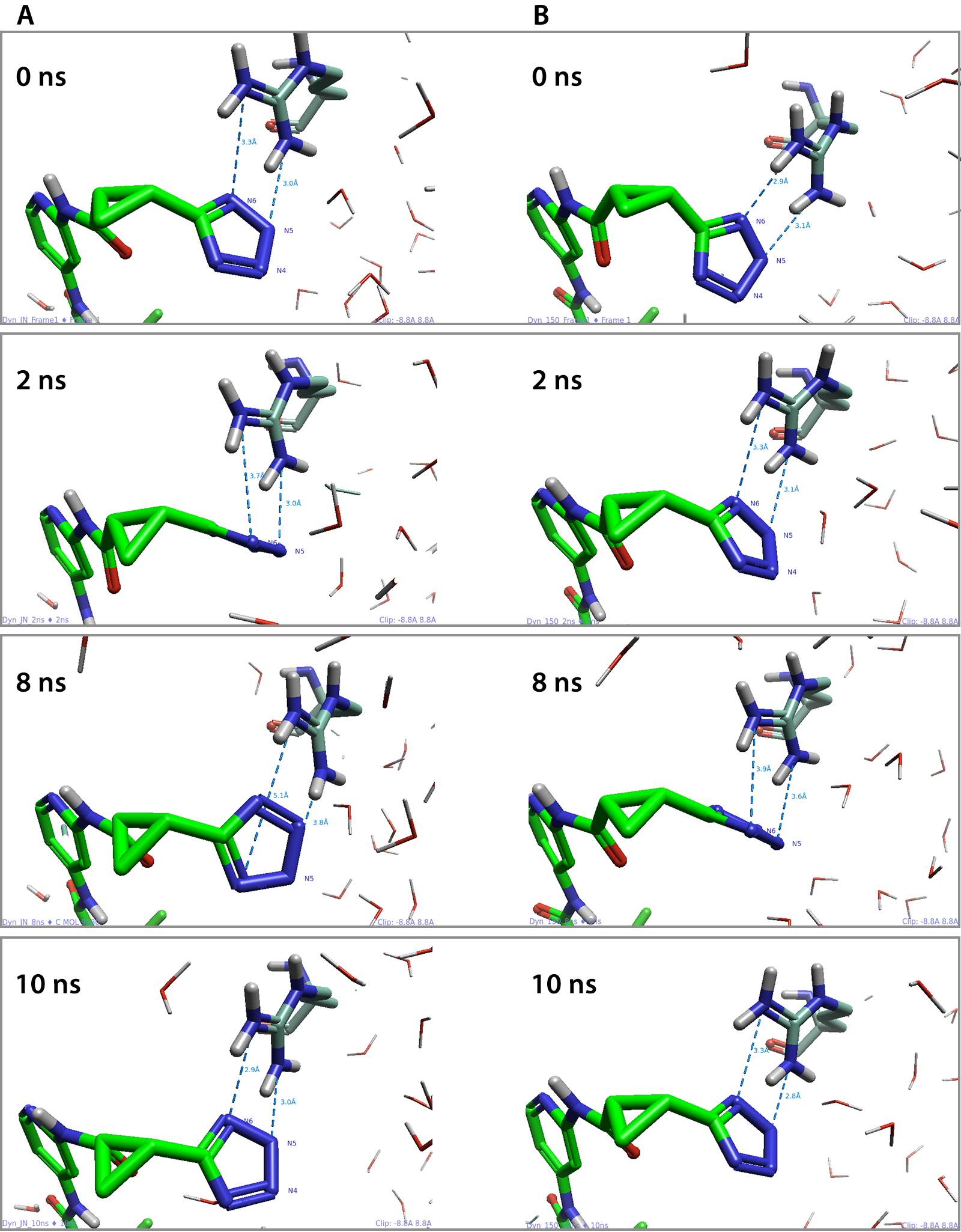 Figure 4 measurements between N5 and N6 of the tetrazole and the ARG13 residue
