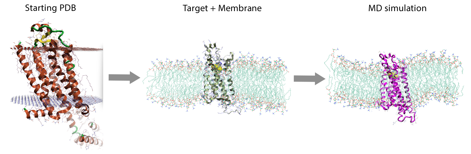 Figure 1 Flare workflow to set up membrane protein MD simulation