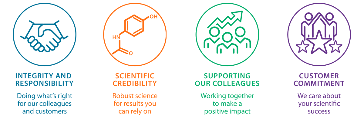 Computational chemistry careers