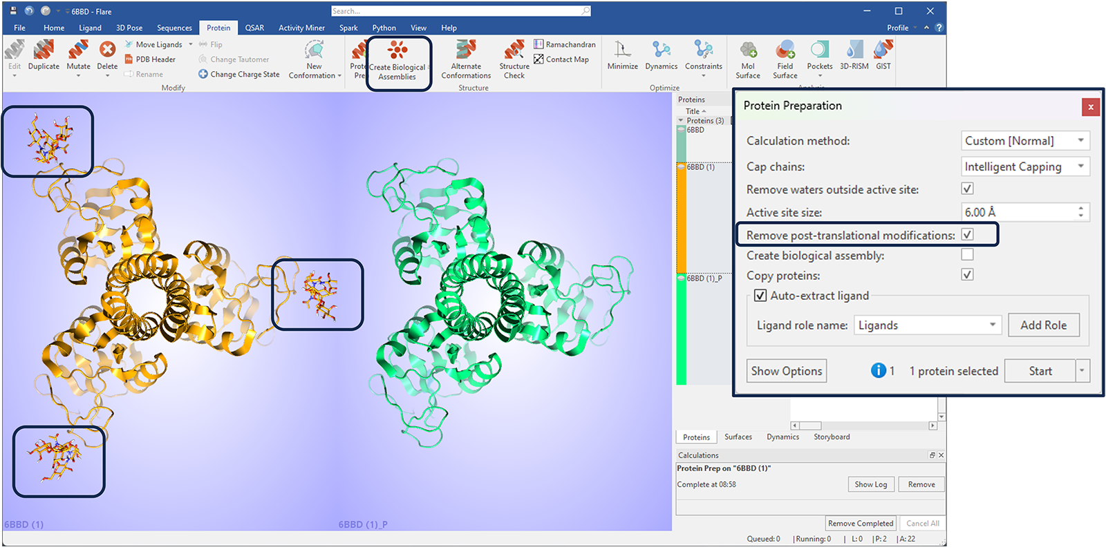 Figure 5 new ‘Create Biological Assemblies’ button in the Protein tab